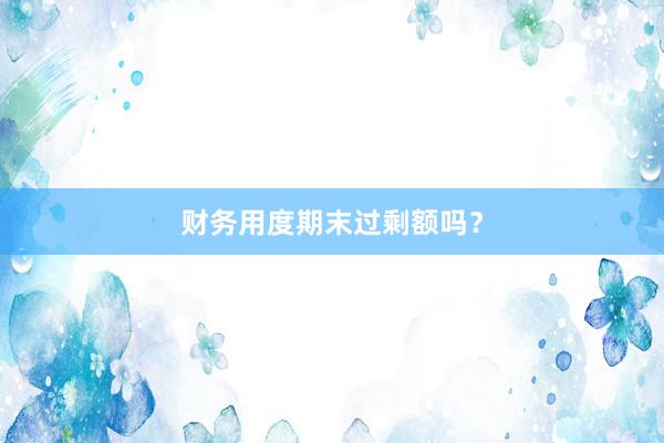 财务用度期末过剩额吗？