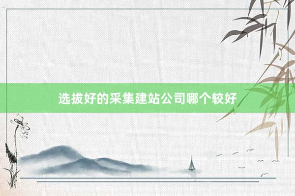 选拔好的采集建站公司哪个较好