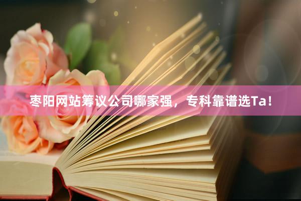 枣阳网站筹议公司哪家强，专科靠谱选Ta！