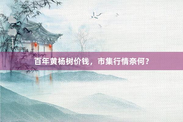 百年黄杨树价钱，市集行情奈何？