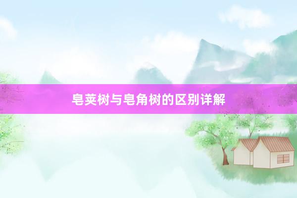 皂荚树与皂角树的区别详解