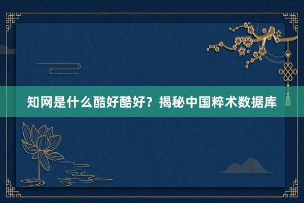 知网是什么酷好酷好？揭秘中国粹术数据库