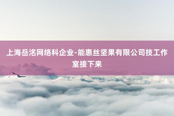 上海岳洺网络科企业-能惠丝坚果有限公司技工作室接下来
